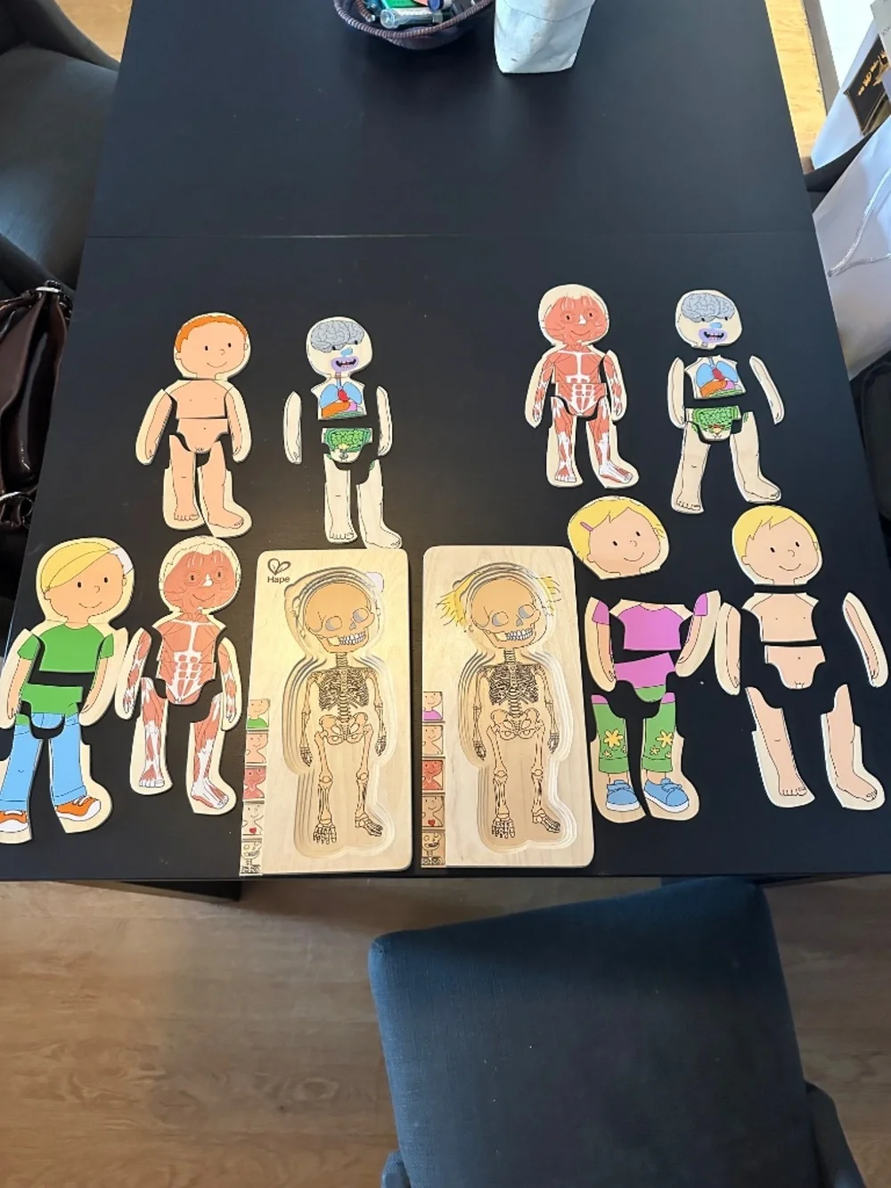 Hape Wooden Layered Anatomy Puzzles Boy & Girl Set of 2